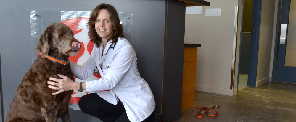 Dr. Honda at our front desk