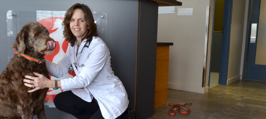 Southside Pet Hospital Team